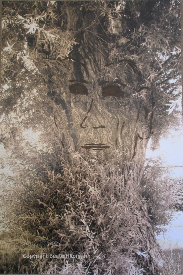 Baumporträt