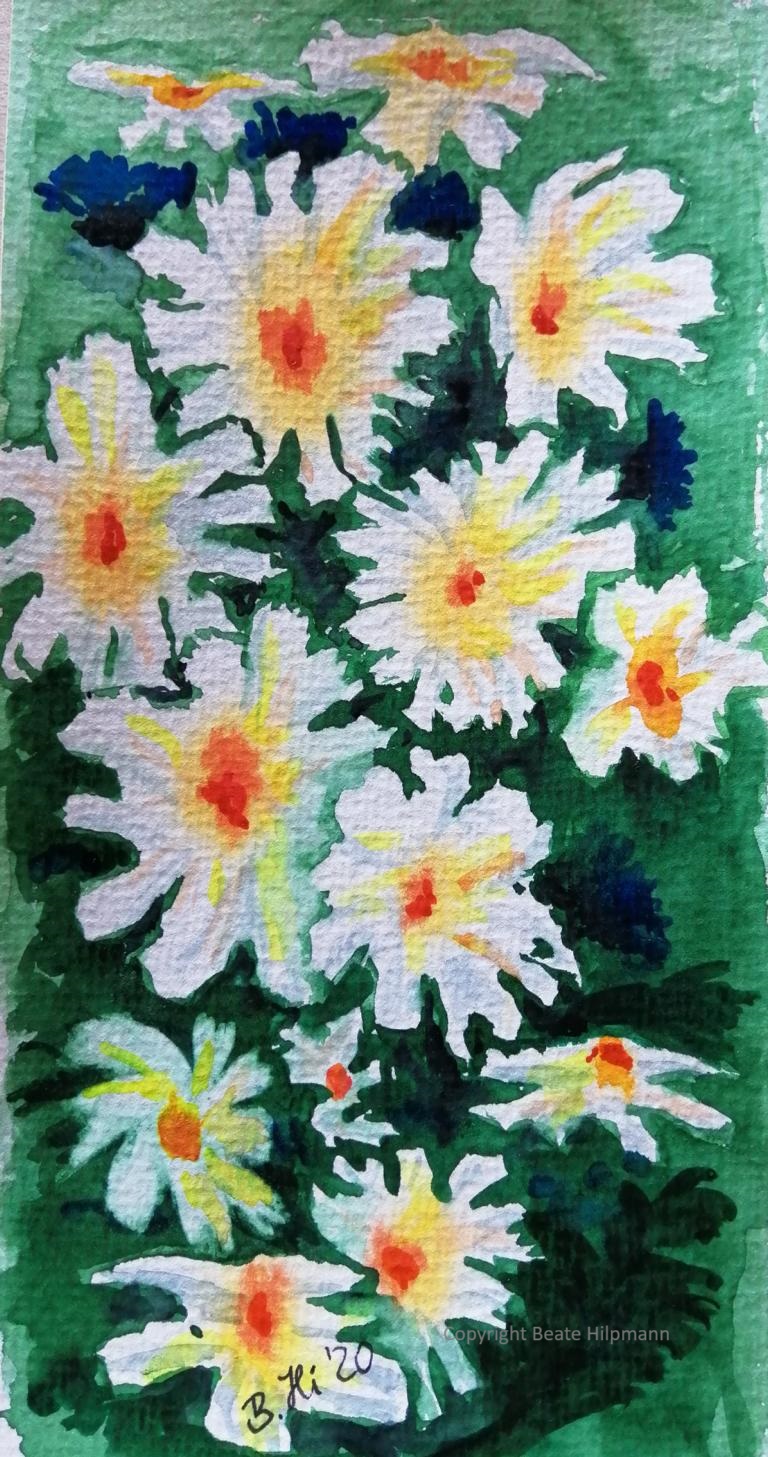Margeriten und Kornblumen