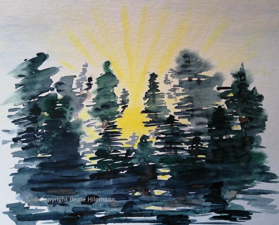Sonne dringt durch die Äste eines Nadelwaldes.