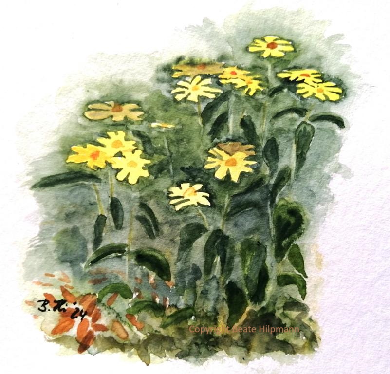 eine kleine Sequenz aus einem herbstlichen Garten mit gelben Blumen