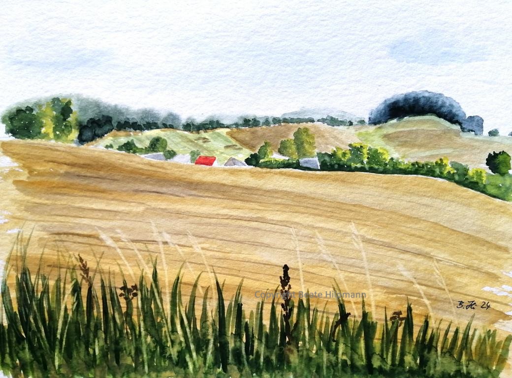 Blick über ein abgeerntetes Feld . Im Hintergrund Häuser von Mariendorf (Middelhagen auf Rügen) und Hügelkette. Im Vordergrund Gräser