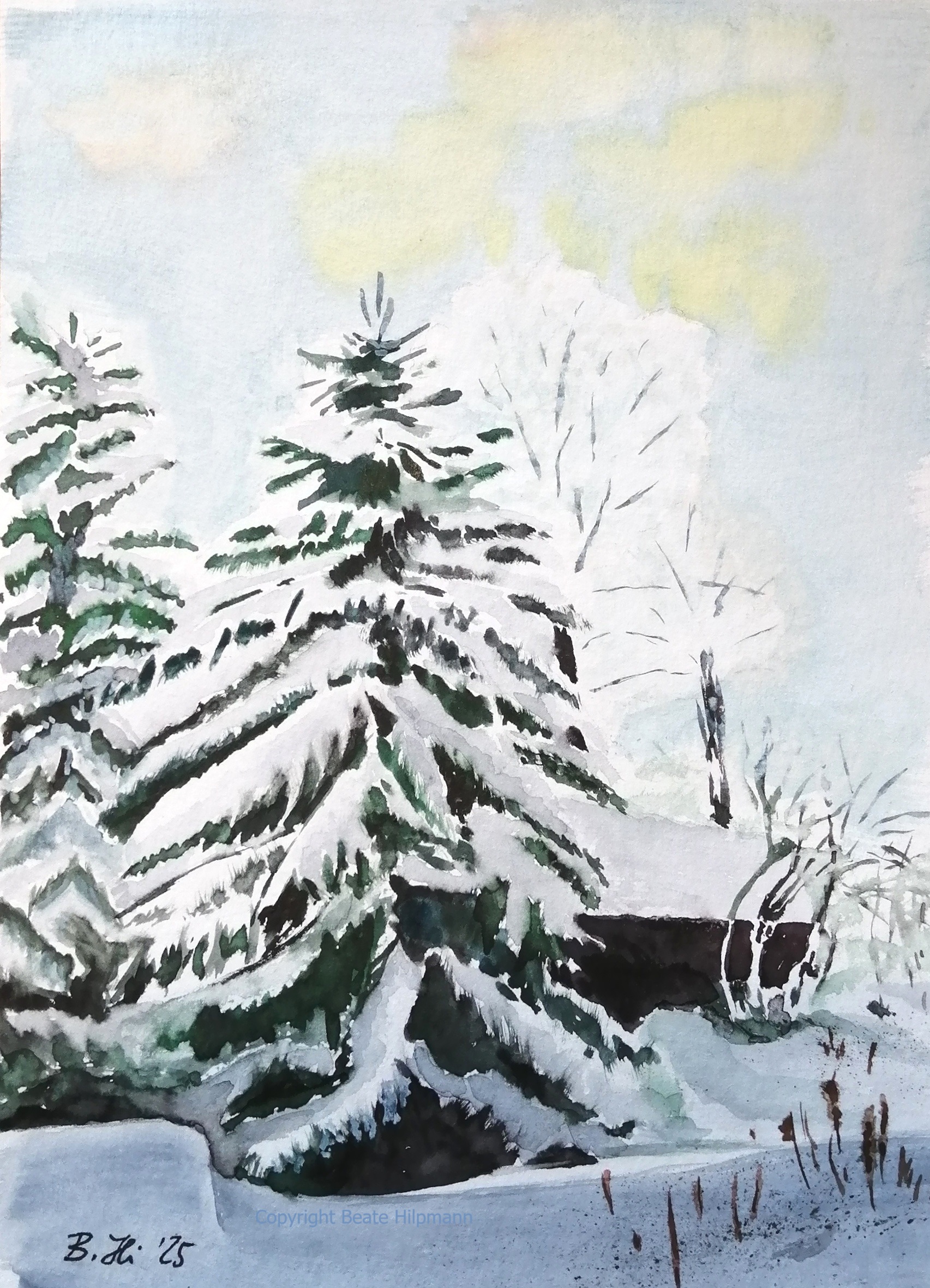 O Tannenbaum
